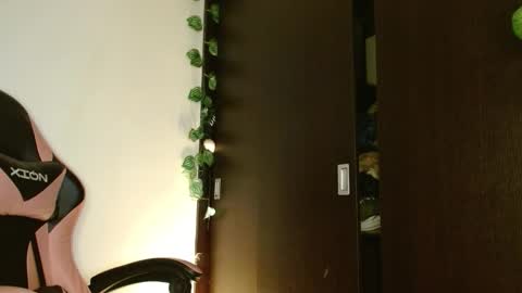 maru miaw   Please help me to reach 100 thumbs up online show from January 2026 05:23:02 AM