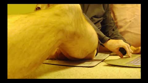 Snapshot of brode3 chatting on January 2026 04:05:01 AM brode3 online show from January 2026 04:05:01 AM