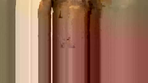 browndaddy4713 online show from March 2026 04:10:01 PM