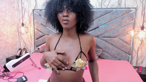 Snapshot of brownie_delicious chatting on December 2024 12:42:02 AM Sara online show from December 2024 12:42:02 AM