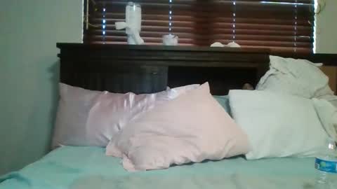 Snapshot of brownsugar0910 chatting on December 2024 07:00:02 PM EtherealLilac online show from December 2024 07:00:02 PM