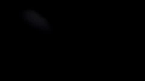BRUCE online show from January 2026 02:37:01 AM