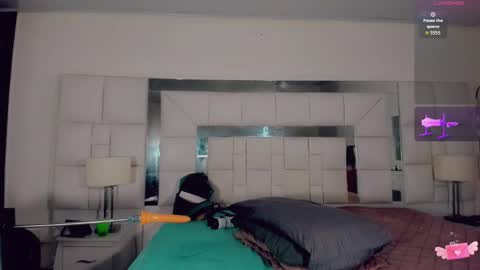 Snapshot of brunettesexy11 chatting on March 2026 11:29:02 AM ChannelR online show from March 2026 11:29:02 AM