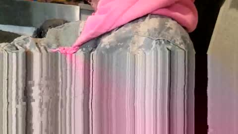 Steve... aka SkinnieDippin aka TimberTramp online show from March 2026 08:59:01 PM