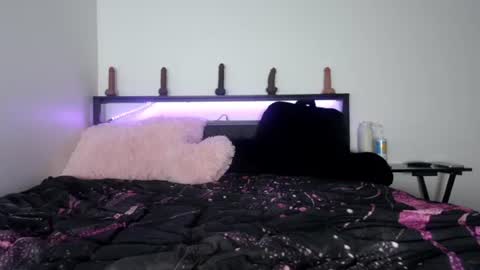 Snapshot of bubble_girl_lo chatting on June 2026 05:57:01 AM Queen Lola XXX online show from June 2026 05:57:01 AM