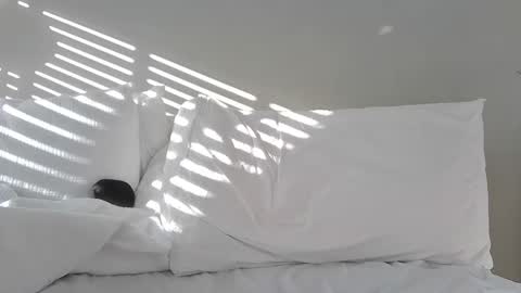 Snapshot of bubblensuck13 chatting on January 2025 11:53:02 AM bubblensuck13 online show from January 2025 11:53:02 AM