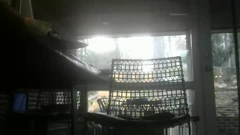 Snapshot of bulldog302w chatting on January 2026 01:39:01 PM bulldog302w online show from January 2026 01:39:01 PM
