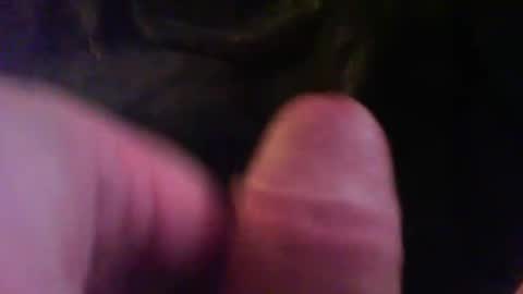 bullemoe online show from January 2025 02:32:01 AM