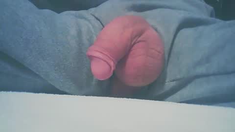 Dutch cock online show from January 2025 08:33:01 AM