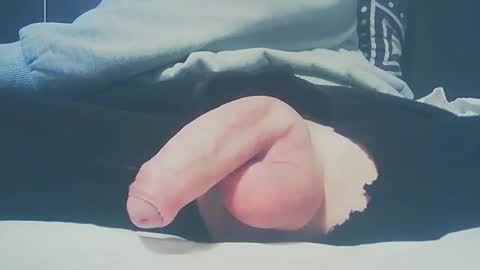 Dutch cock online show from February 2025 03:40:01 PM