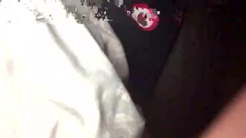 bungle online show from September 2025 02:44:02 AM