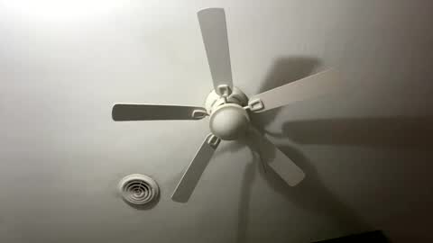 bunnibaby333 online show from September 2025 09:58:01 AM