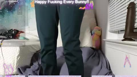 Snapshot of bunnycheekz chatting on December 2024 02:37:02 AM Tokki bunny online show from December 2024 02:37:02 AM