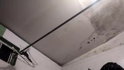 Snapshot of bunnychocolatte151671 chatting on November 2025 05:00:02 AM bunnychocolatte69 online show from November 2025 05:00:02 AM