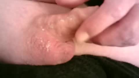 Hamish online show from February 2025 07:06:01 PM