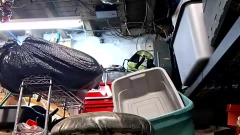 bushdoctor1 online show from September 2025 09:53:02 AM