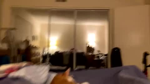 busty_2008 online show from February 2026 03:04:01 AM