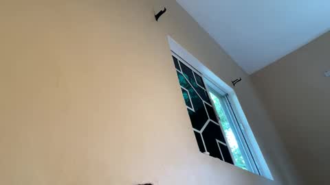 bustyirie online show from April 2026 02:55:02 PM