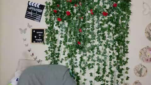 butterfly booty online show from November 2025 09:52:01 PM