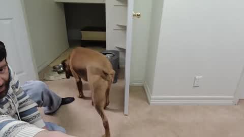 Snapshot of c2cmee chatting on December 2024 09:55:01 AM c2cmee online show from December 2024 09:55:01 AM