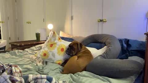 Snapshot of c2cmee chatting on March 2026 04:38:02 AM c2cmee online show from March 2026 04:38:02 AM