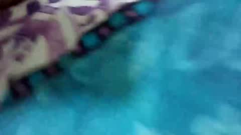 Snapshot of calentito38 chatting on May 2026 01:44:01 AM calentito38 online show from May 2026 01:44:01 AM