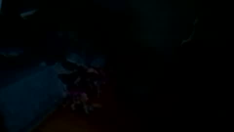 caleyrs online show from August 2026 01:42:02 AM