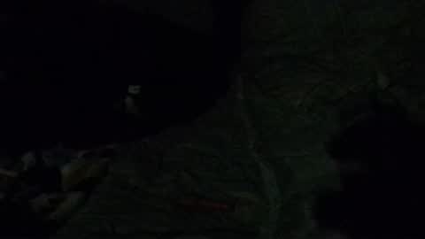 Calisguitar online show from December 2024 07:39:01 AM