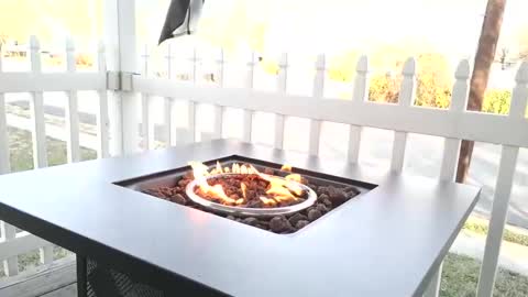 Snapshot of camaro383ci1994 chatting on December 2024 02:23:02 PM Chillaxin lets talk online show from December 2024 02:23:02 PM