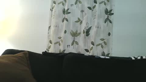 Snapshot of camaro383ci1994 chatting on January 2025 08:19:01 AM Chillaxin lets talk online show from January 2025 08:19:01 AM