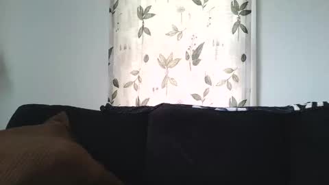 Snapshot of camaro383ci1994 chatting on January 2025 06:45:01 PM Chillaxin lets talk online show from January 2025 06:45:01 PM