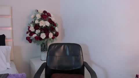 Snapshot of camilasofiia chatting on February 2025 02:26:02 AM Camila online show from February 2025 02:26:02 AM