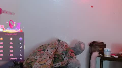 Camila online show from January 2026 01:38:02 PM