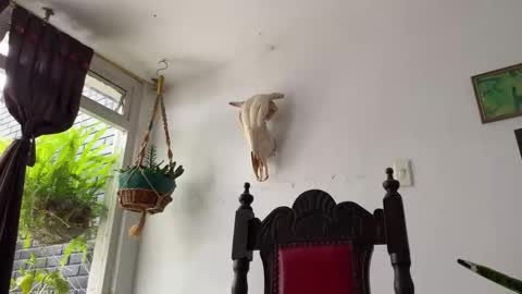 Snapshot of camille_delrey chatting on October 2025 06:42:02 PM Camille online show from October 2025 06:42:02 PM