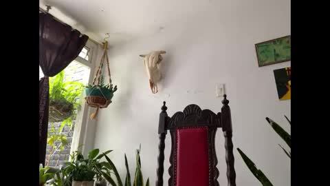 Snapshot of camille_delrey chatting on November 2025 02:39:01 PM Camille online show from November 2025 02:39:01 PM