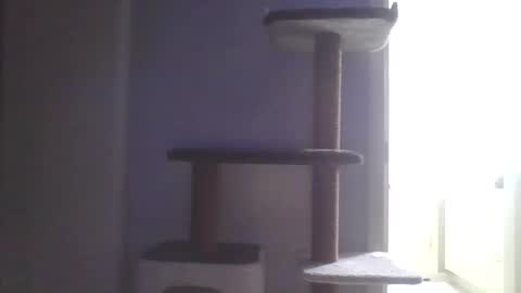 cammyman6900 online show from November 2025 04:55:01 AM