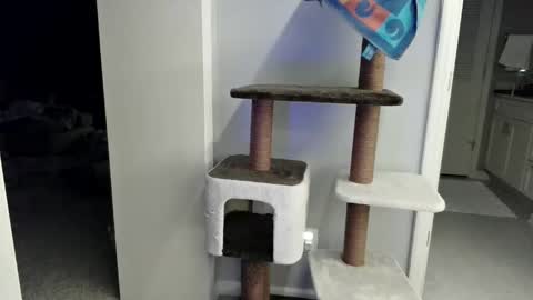 cammyman6900 online show from March 2026 04:17:02 AM