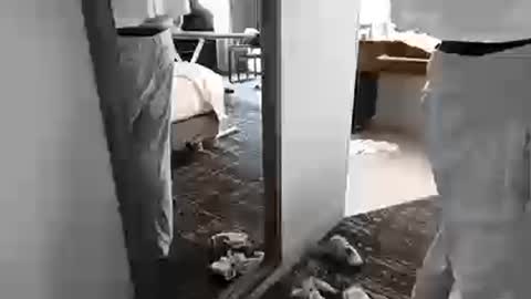 cammyman6900 online show from March 2026 08:59:01 PM