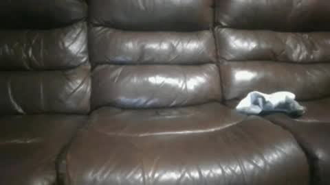 Snapshot of canadianchris1007 chatting on December 2024 01:49:01 PM Chris online show from December 2024 01:49:01 PM