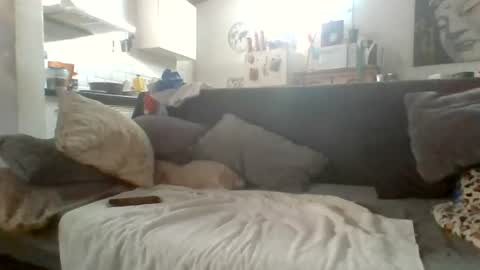 canary_braun online show from July 2026 06:34:02 PM
