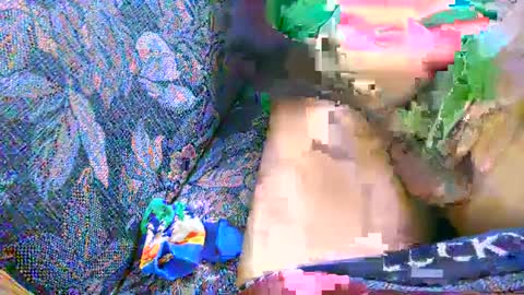 7777 online show from March 2025 07:45:02 PM