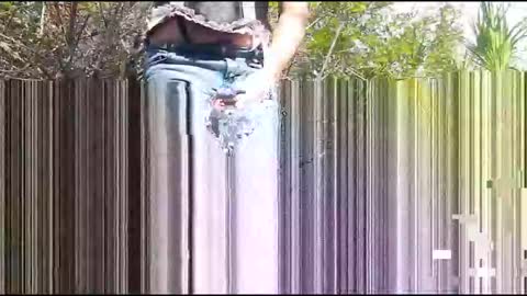 Snapshot of candi_cakes chatting on March 2026 08:04:01 PM Candi Cakes online show from March 2026 08:04:01 PM