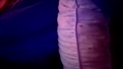 Snapshot of candismiths chatting on November 2025 02:06:01 AM Candi online show from November 2025 02:06:01 AM