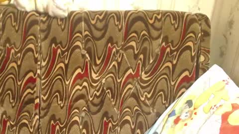 Snapshot of candylady136 chatting on March 2025 01:05:02 PM say meow and send tip online show from March 2025 01:05:02 PM