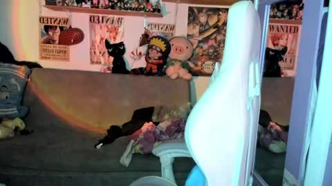 Canndyy Daniela online show from June 2026 07:29:02 AM