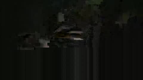supersexycardie online show from May 2026 04:09:02 AM