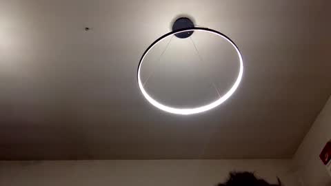 Carlos online show from February 2025 09:04:01 PM