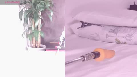 Carol online show from April 2026 12:03:01 PM