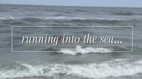 carrie madsin online show from December 2025 11:00:02 PM