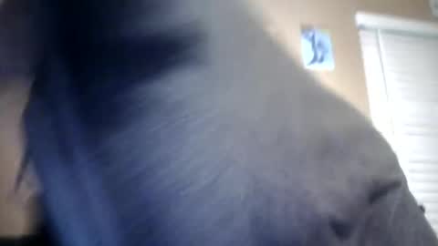 Snapshot of carsonlueders8775 chatting on January 2025 01:56:02 AM carsonlueders8775 online show from January 2025 01:56:02 AM